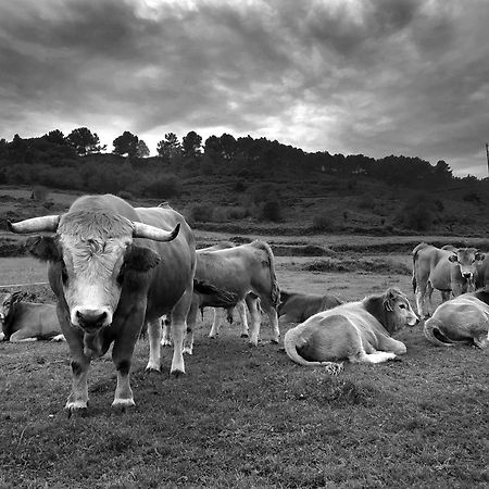 Belenos Alojamientos Turisticos Niembro Exteriér fotografie
